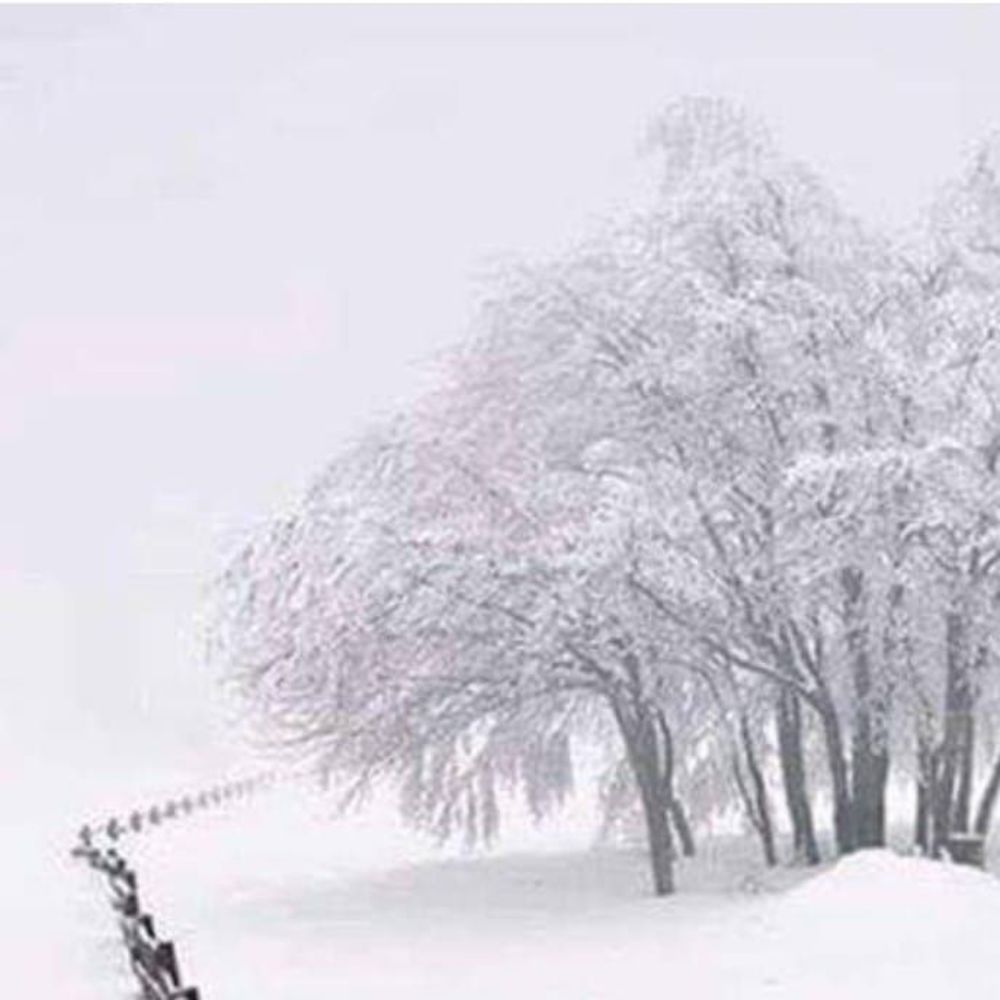 Meet your Posher, Patti